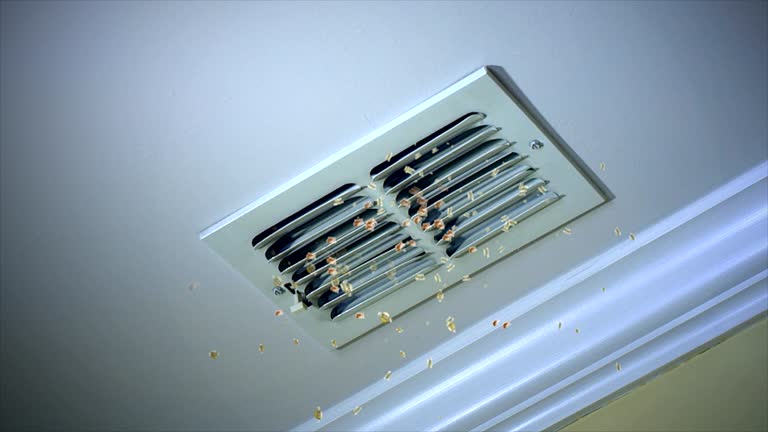 Best Emergency Air Duct Cleaning  in Brookhaven, MS