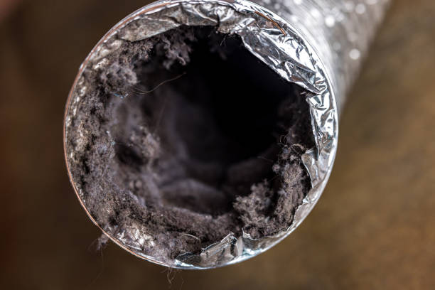 Best Affordable HVAC Duct Cleaning  in Brookhaven, MS