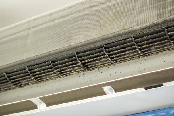Best HVAC Duct Inspection Services  in Brookhaven, MS